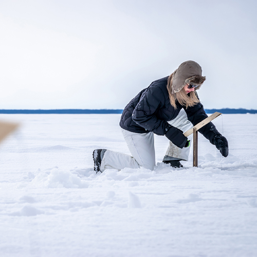 Winter Survival 1
